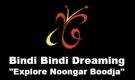 Bindi Bindi Dreaming