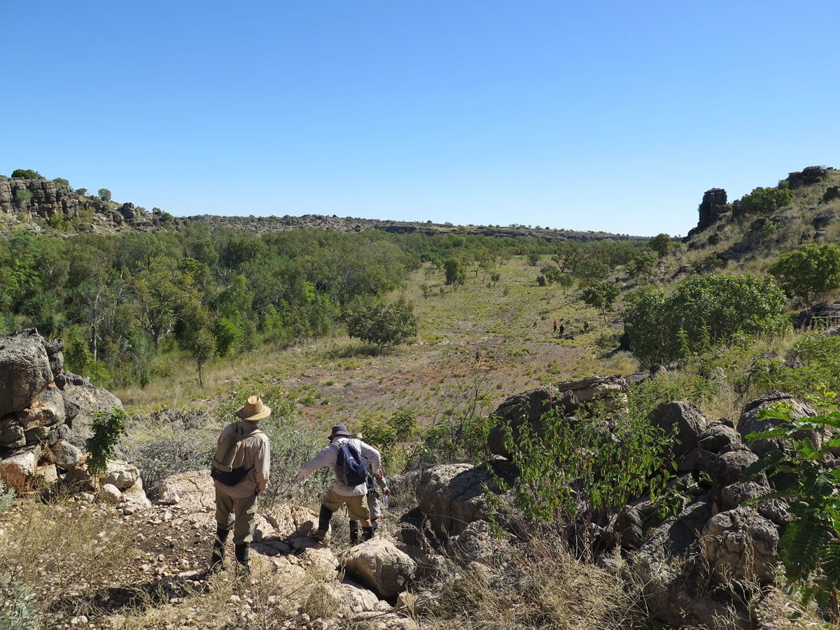 Kimberley Country (Fitzroy Tours)